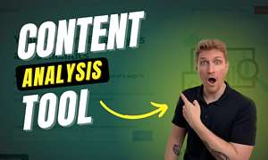 Textfocus Review Advanced 12 Metric SEO Content Analysis