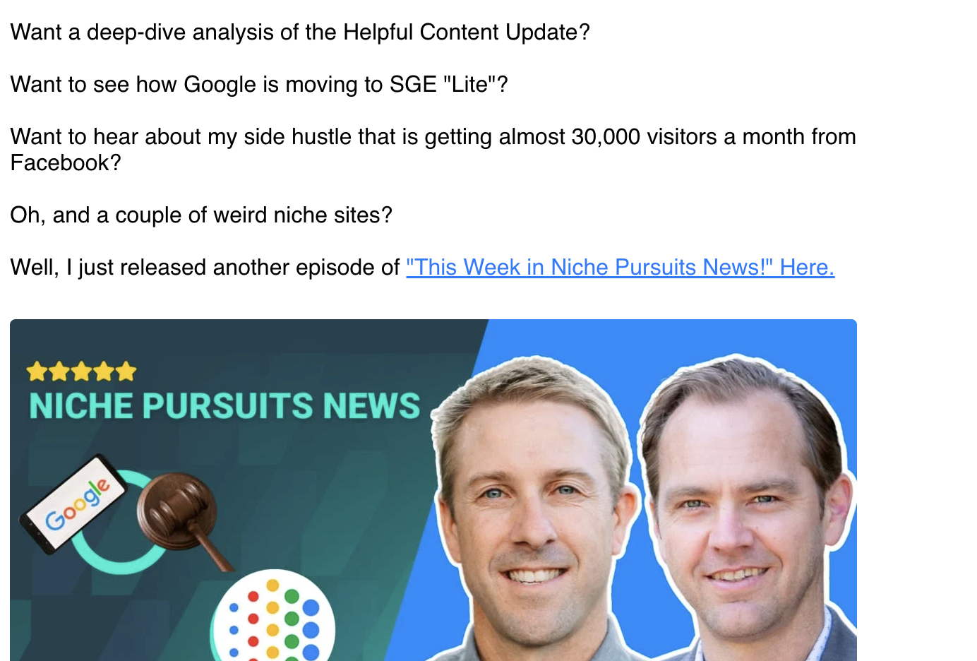 niche pursuits newsletter