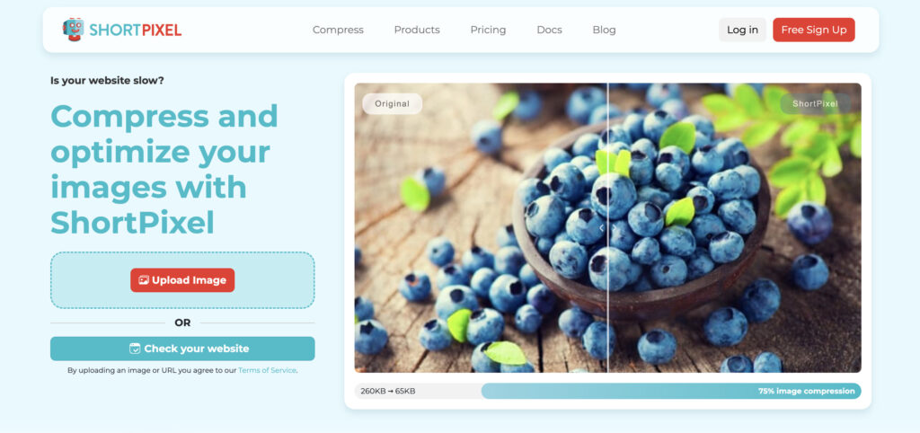 EWWW Image Optimizer Review: Features, Pricing, Pros & Cons 4 Shortpixel-Website-1